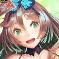 【騎士】礼装型パーシヴァル（盗賊）